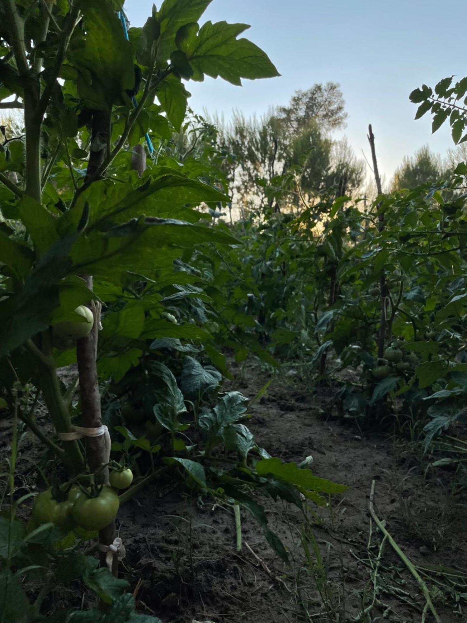 فندق Agroturizem Eldi فيير المظهر الخارجي الصورة