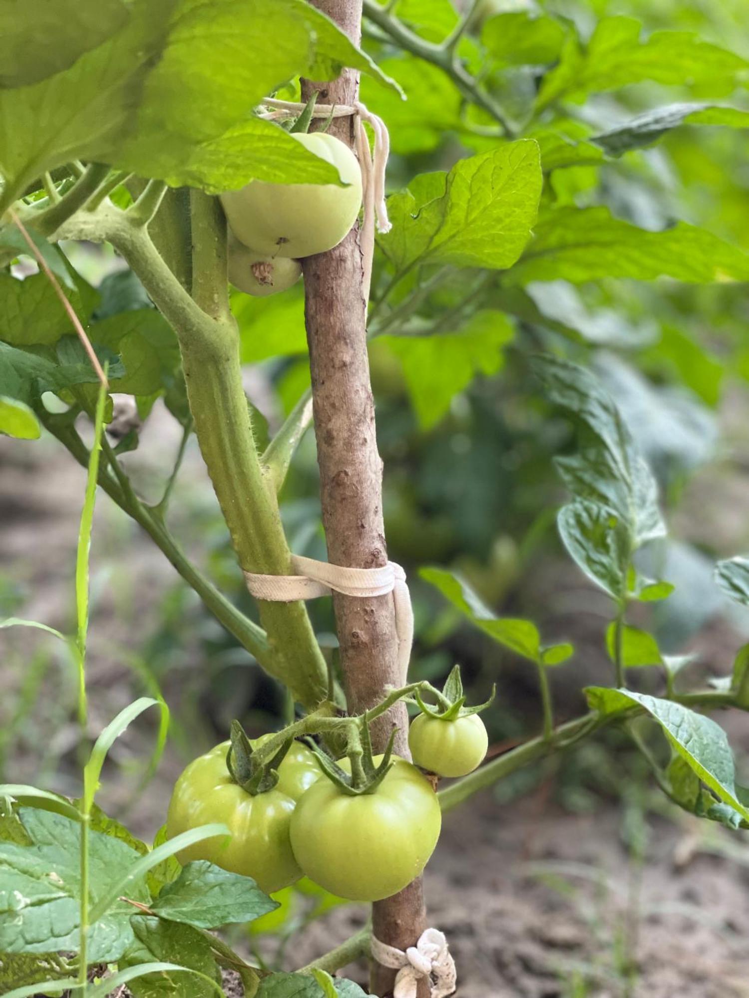 فندق Agroturizem Eldi فيير المظهر الخارجي الصورة